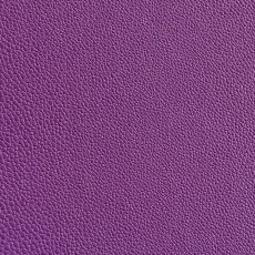 Violet Skin